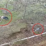 Kayınpeder ile gelinin öldüğü kavganın sebebi şaşkına çevirdi