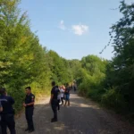 blank