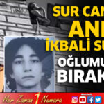 Sur canisinin annesi, İkbal Uzuner’i suçladı: Oğlumu rahat bırakmadı