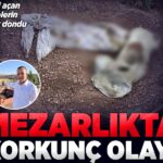 Eskişehir’de mezarlıkta korkunç olay! Bezi açan ekiplerin kanı dondu